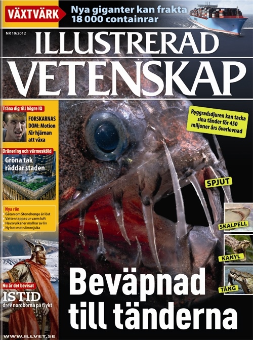 illustrerad vetenskap