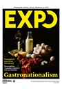 Expo omslag 2025 1