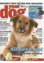Your Dog omslag 2011 1