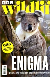 BBC Wildlife (UK) omslag