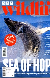 BBC Wildlife (UK) omslag