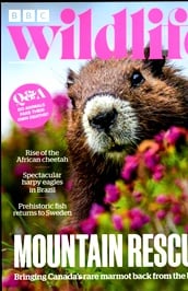 BBC Wildlife (UK) omslag