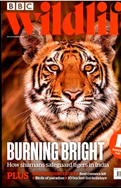 BBC Wildlife (UK) omslag
