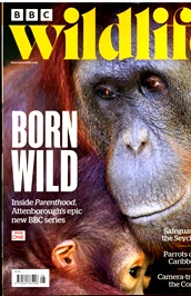 BBC Wildlife (UK) omslag