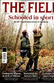 Field /the (UK) omslag