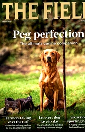 Field /the (UK) omslag