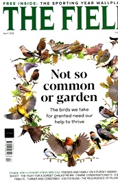 Field /the (UK) omslag