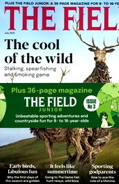 Field /the (UK) omslag