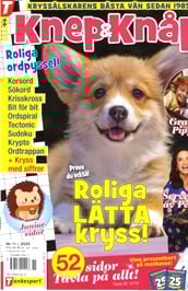 Knep & Knåp omslag