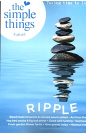 Simple Things (UK) omslag