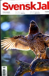 Svensk Jakt omslag
