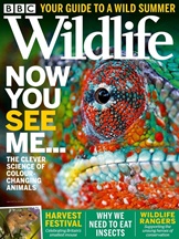 BBC Wildlife omslag
