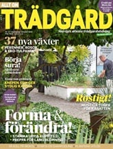 Allt om Trädgård omslag
