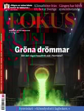 Fokus omslag