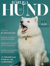 Härliga Hund omslag