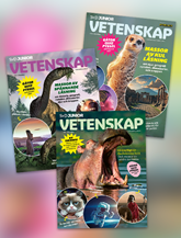 SvD Junior Vetenskap omslag