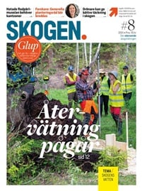 Skogen omslag