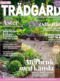 Allt om Trädgård omslag