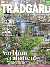 Allt om Trädgård omslag