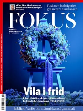 Fokus omslag