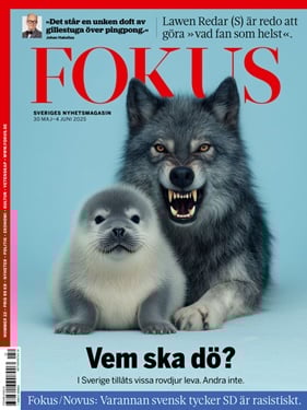 Fokus omslag