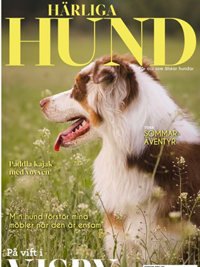Härliga Hund omslag