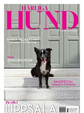 Härliga Hund omslag