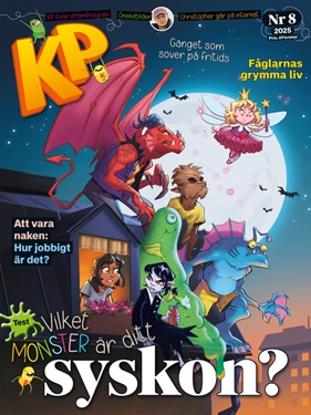 Kamratposten omslag
