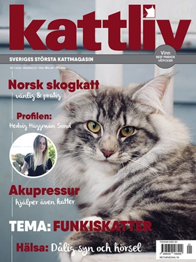 Kattliv omslag
