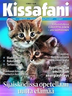 Kissafani omslag