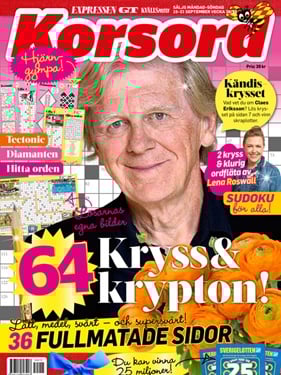 Korsord omslag