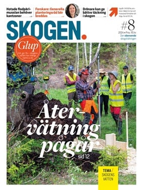 Skogen omslag