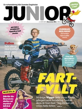 SvD Junior omslag