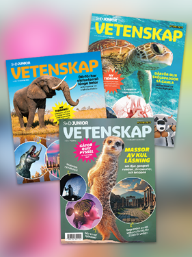 SvD Junior Vetenskap omslag