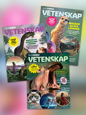 SvD Junior Vetenskap omslag