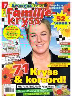 Sveriges Stora Familjekryss omslag